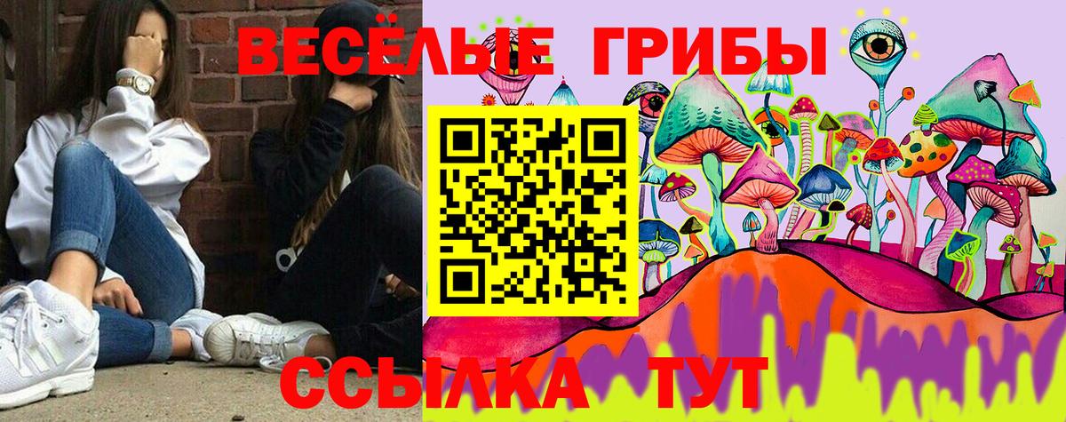 Галлюциногенные грибы ЛСД  Вход с VPN  закладки  Екатеринбург 