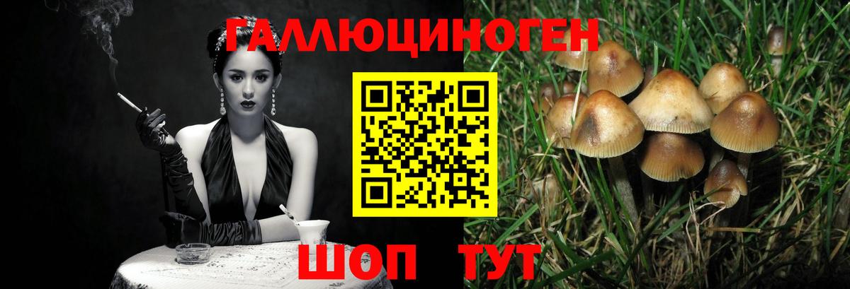 Псилоцибиновые грибы прущие грибы Екатеринбург